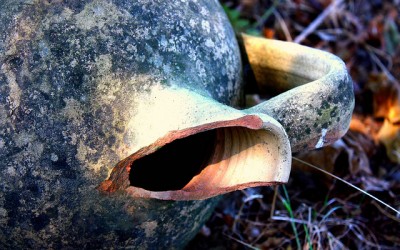 A Love-Letter to Ann, the Birthday Girl