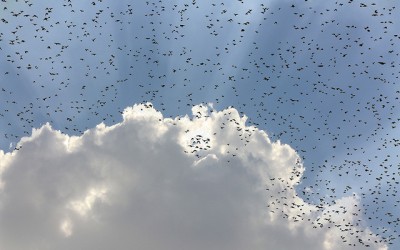 For When You Feel Alone