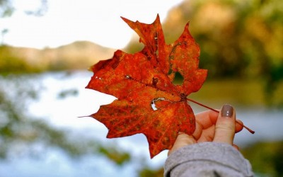 An (in)courage Post: Catching Joy