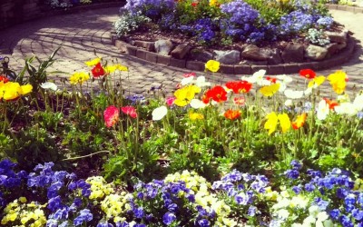 Because Your Voice Is Art