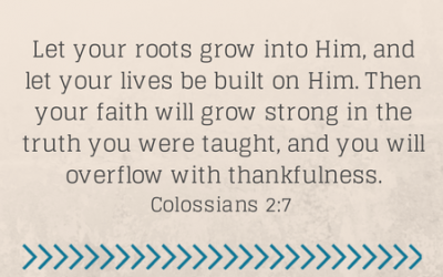 Bloom {Five Minute Friday}