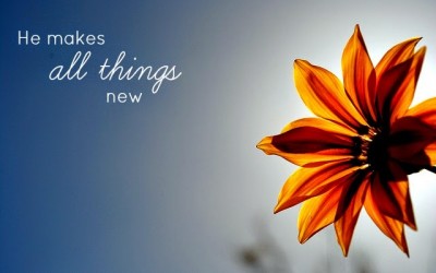 Begin {Five Minute Friday}