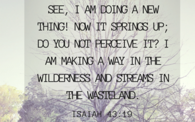 New v. Now {31 Days :: Day 3}