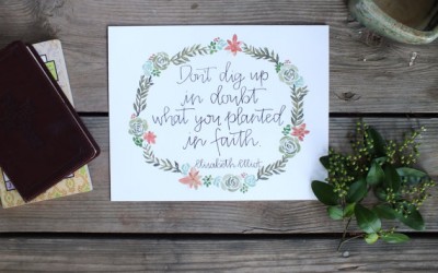 Planted in Faith {giveaway}