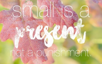 Small Is a Present, Not a Punishment