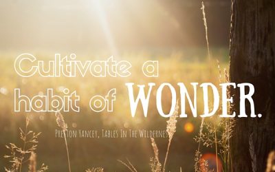 Tables in the Wilderness