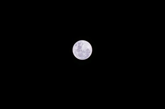 Super Moon November 14 - look for the light