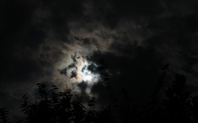 look for the light