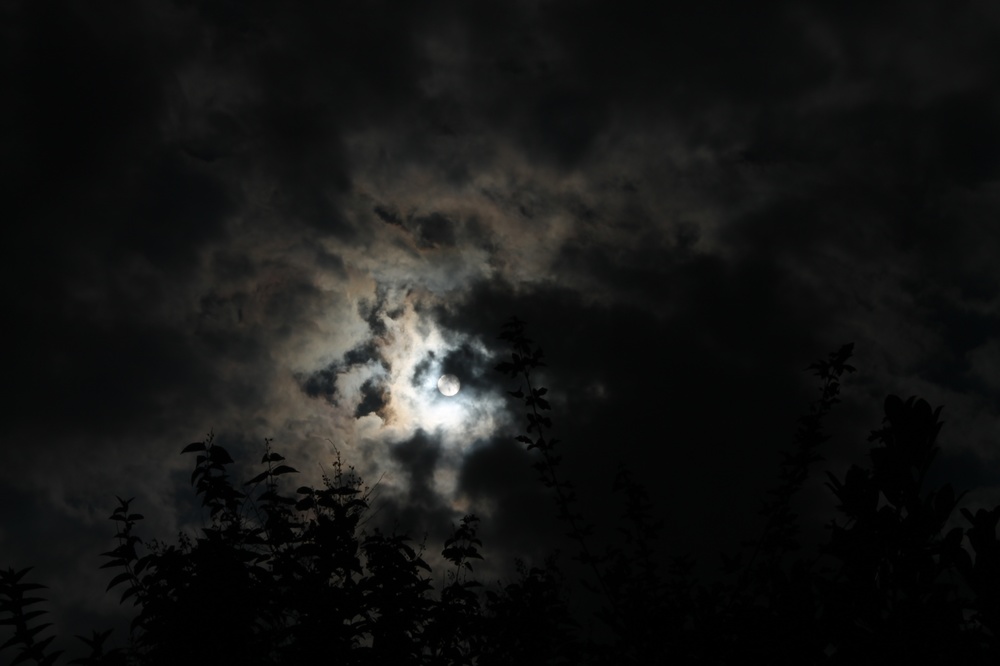 look for the light