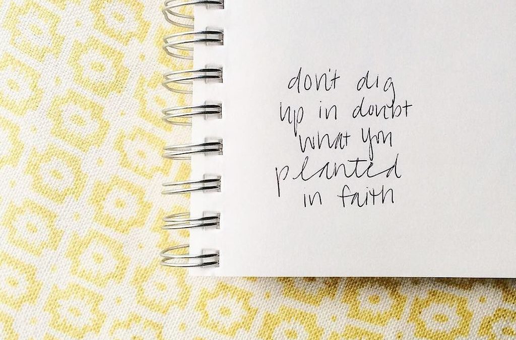 My Word for 2017: Planted.