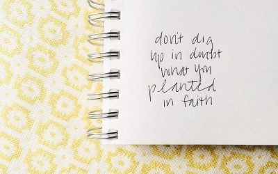My Word for 2017: Planted.