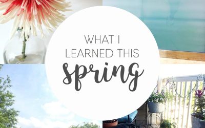 What I Learned This Spring