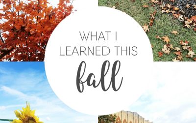 What I Learned This Fall