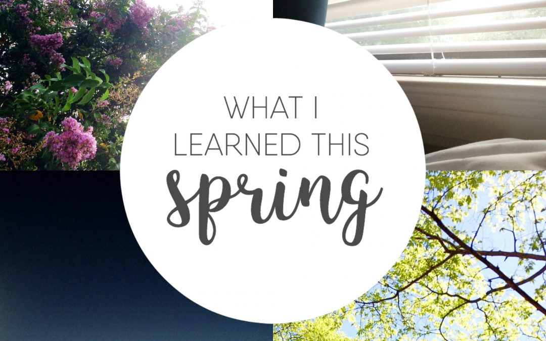 What I Learned This Spring