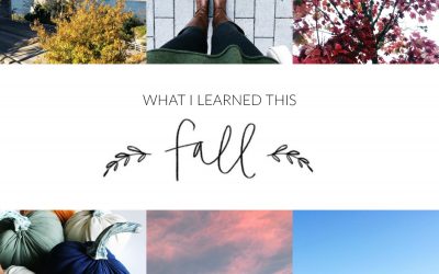 What I Learned This Fall