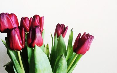 I Dare You: Buy the Flowers