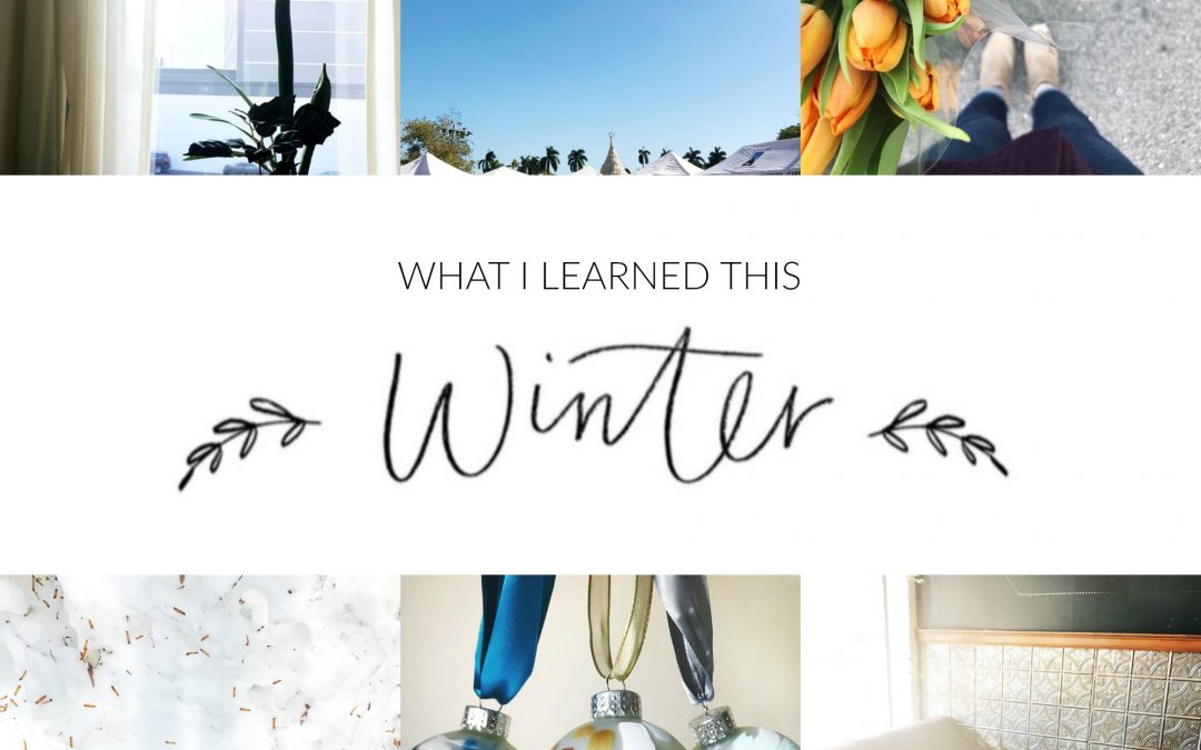 What I Learned This Winter