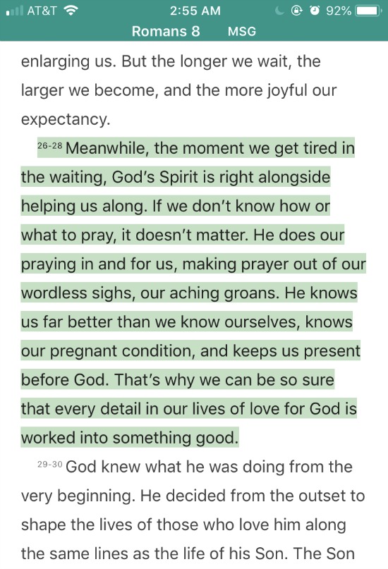 Romans 8:28 in the Message version