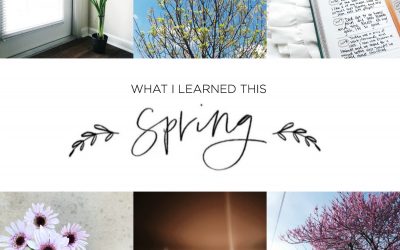 What I Learned This Spring