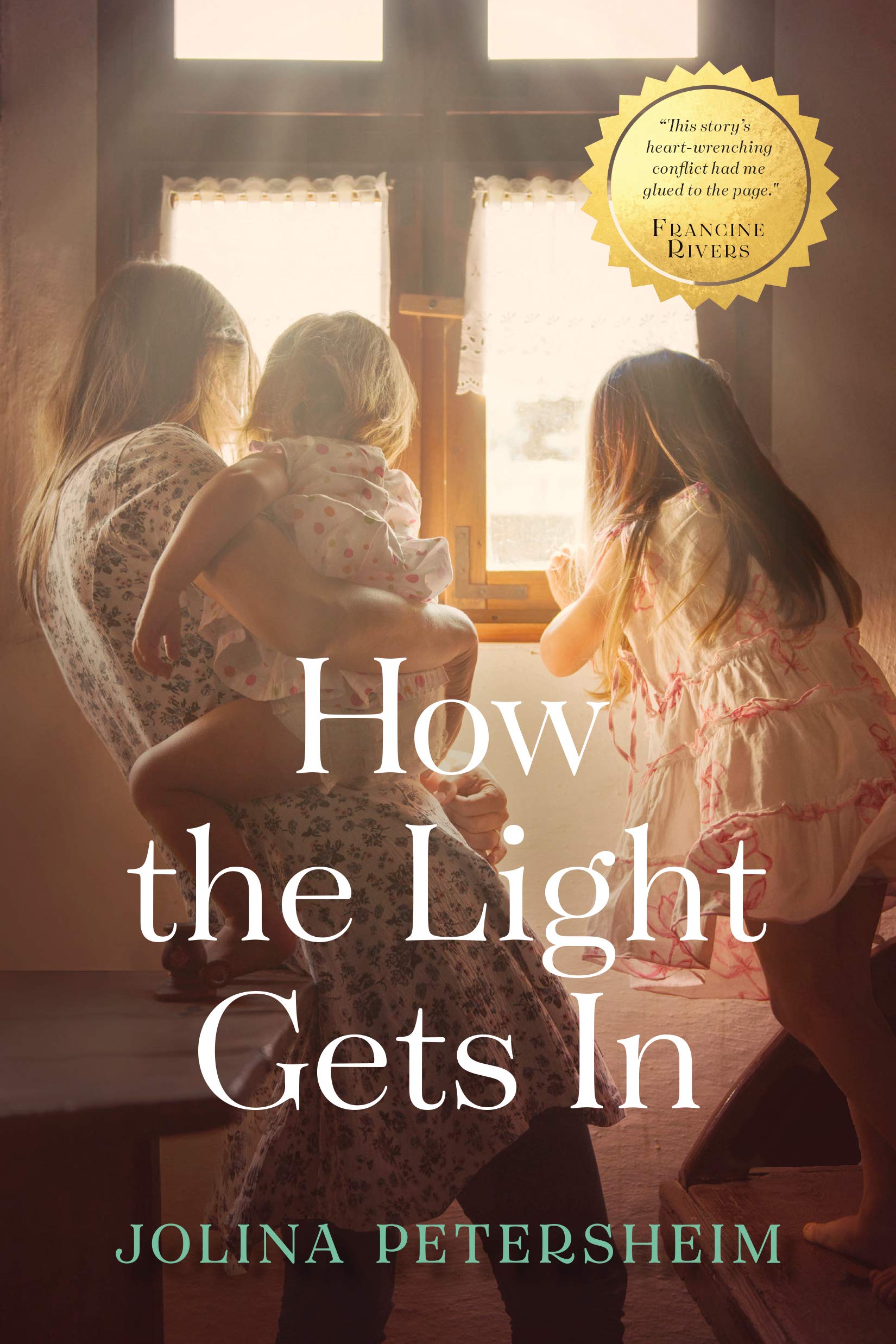 How the Light Gets In by Jolina Petersheim