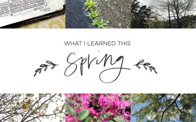 Seven Things I Learned This Spring