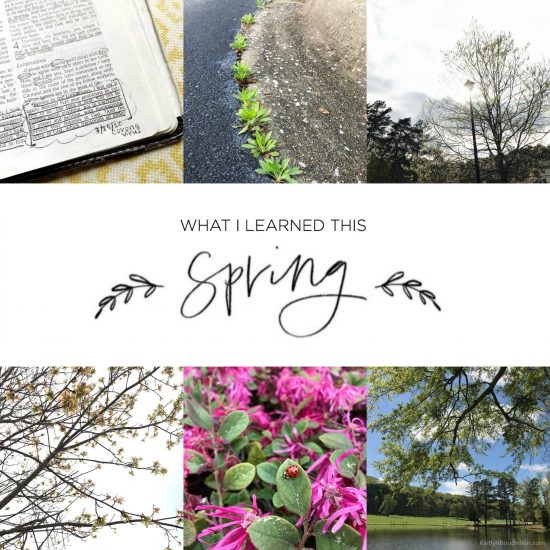 7 things I learned this spring