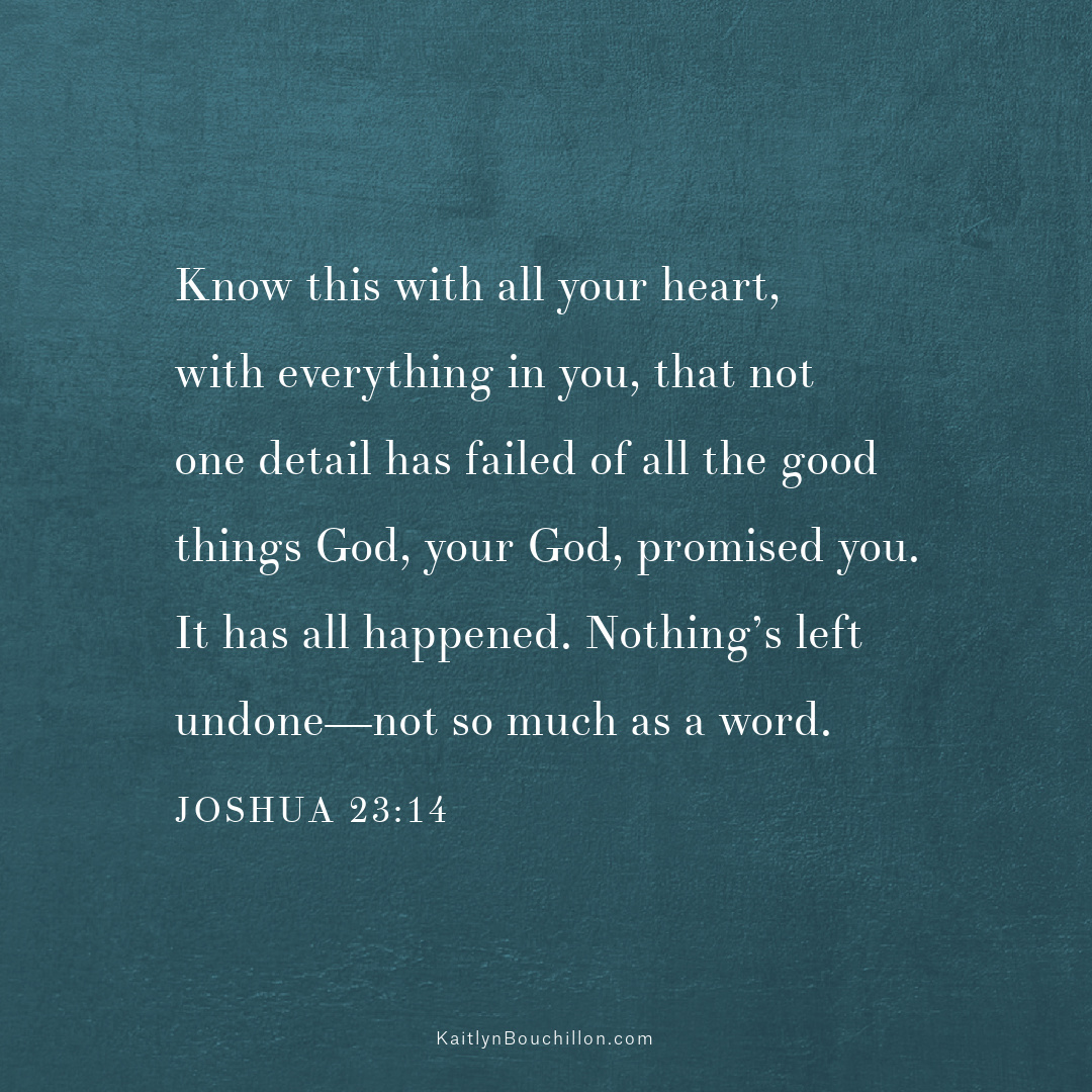 Know this with all your heart, with everything in you, that not one detail has failed of all the good things God, your God, promised you. It has all happened. Nothing’s left undone—not so much as a word. - Joshua 23:14
